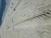 снимка 7 Багер руши пясъчните дюни на плаж Балтата