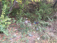 снимка 1 Мизерия и боклуци между Атия и Созопол