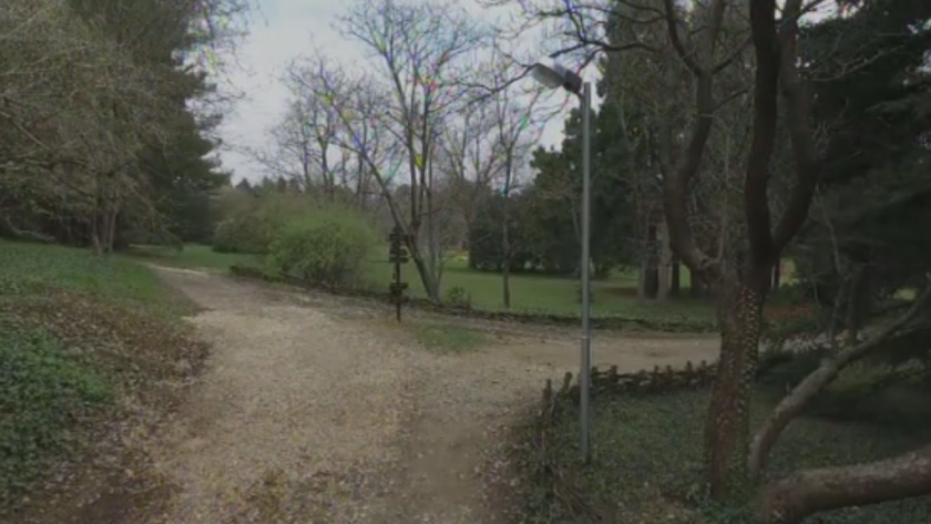 Младежи от Варна ще засадят над 20 милиона дръвчета