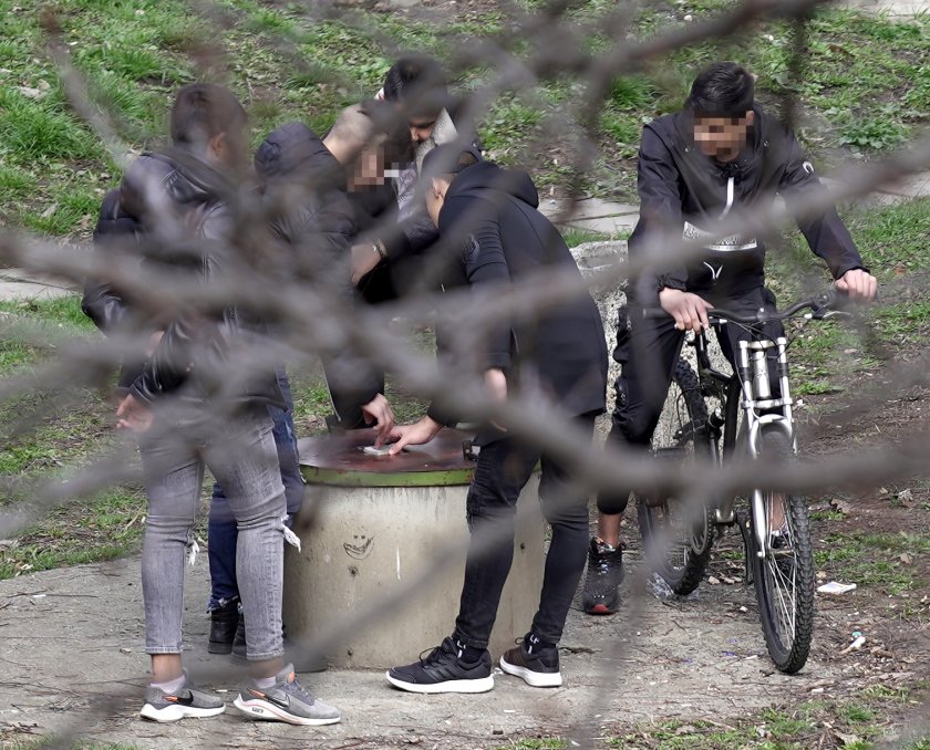 група младежи събира столична градинка въпреки забраните снимки