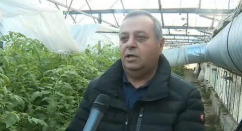 Български производители на зеленчуци се отказват да произвеждат заради ниските цени на вноса
