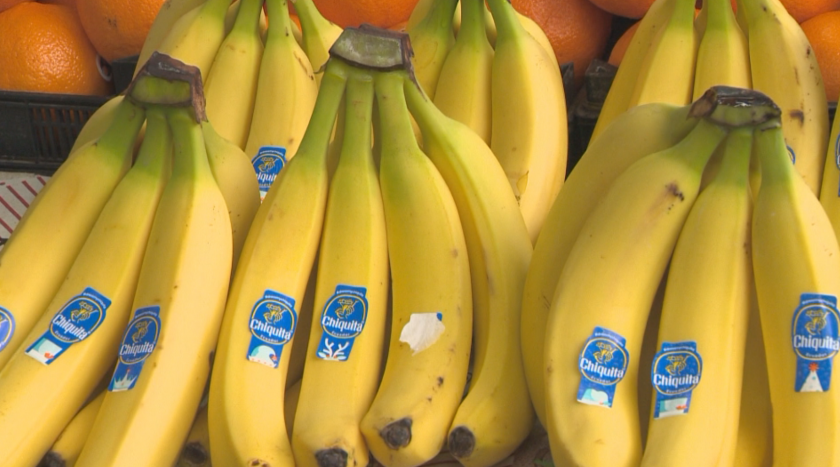 Над 3 200 училища ще получат млечни продукти, плодове и зеленчуци