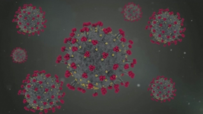 Първата вълна на COVID-19 е преминала своя пик в 20 европейски страни