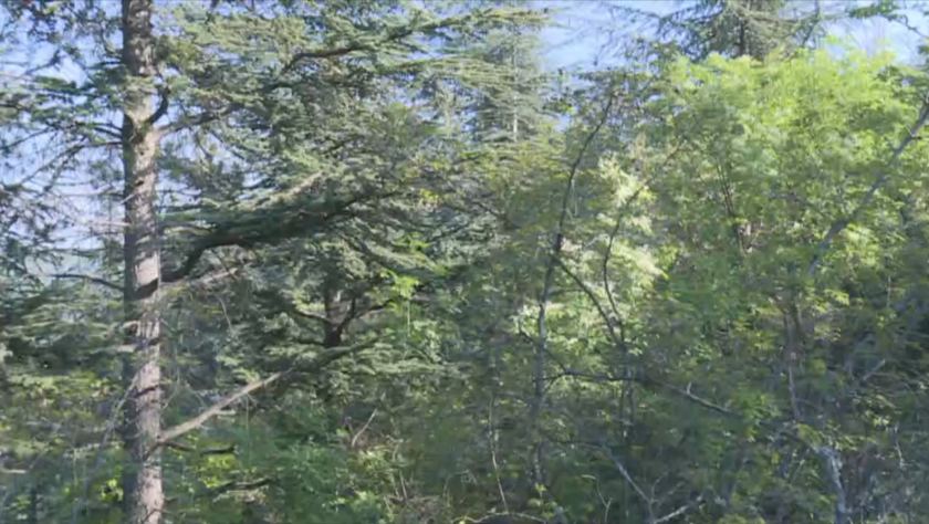 Какво трябва да знаем за разходките в планината по време на пандемия?