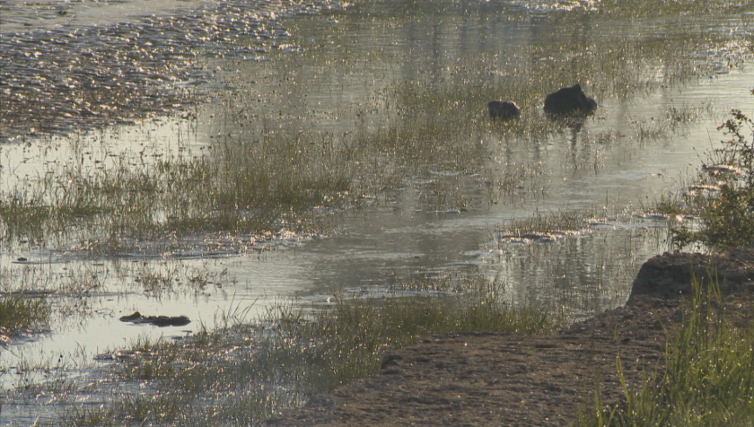 Проверяват замърсяването на Струма след скъсването на дигата в Перник