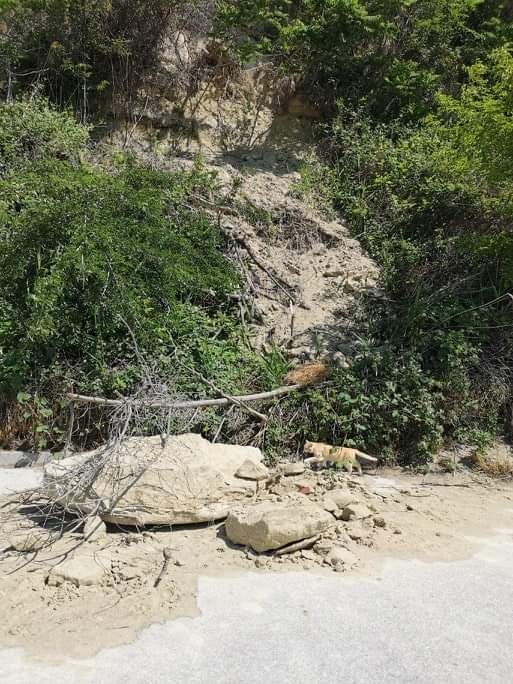 Пръст и скални късове са паднали снощи по алеята на Офицерския плаж във Варна