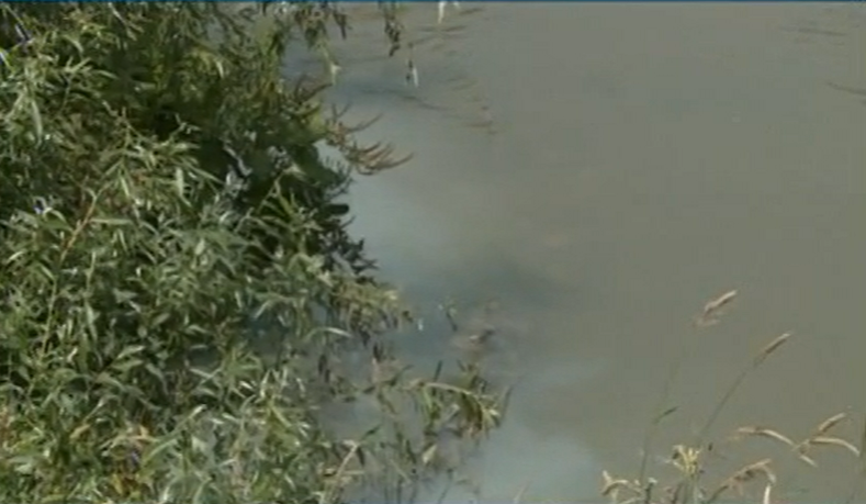 Река Русенски Лом отново е замърсена. Този път потече в син цвят