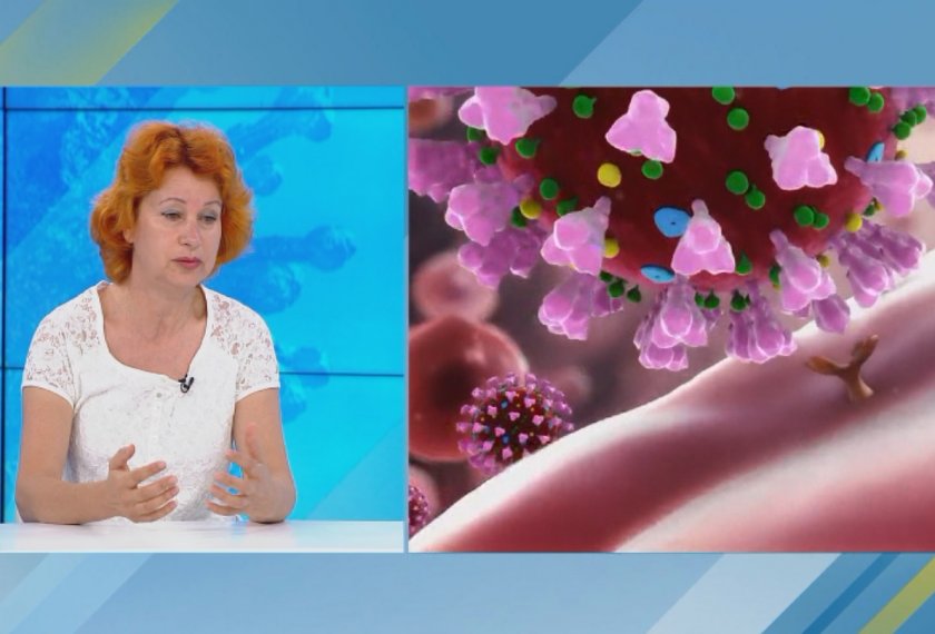 COVID-19 е под контрол в България. Втора вълна няма. Ще стане ли обаче вирусът сезонен?