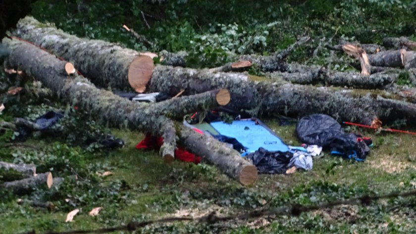 дърво стовари палатка уби чехкиня рила