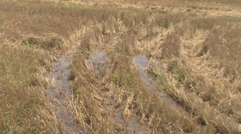 Тонове вода от язовир "Малко Шарково" се изливат в нивите