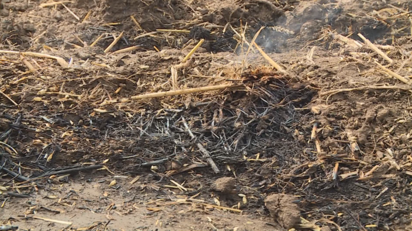 Увеличава се броят на пожарите заради сушата в Русенска област