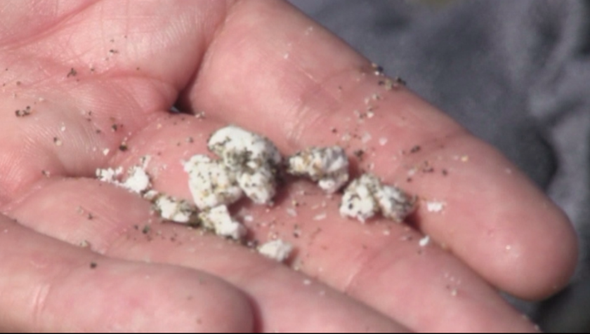 Топчета от палмово масло изплуваха и в Бургас