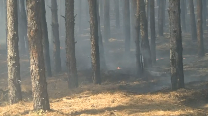 Пожарът край Свиленград е локализиран, но още има незагасени огнища