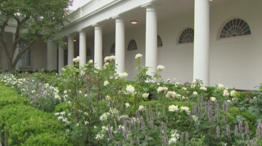 Мелания Тръмп обнови градината на Белия дом