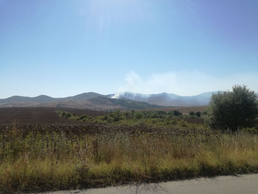 Пожар гори в района на първомайското село Искра