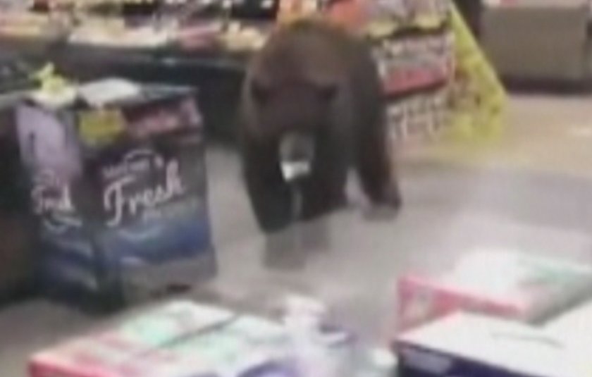 мечка изненада посетителите супермаркет калифорния