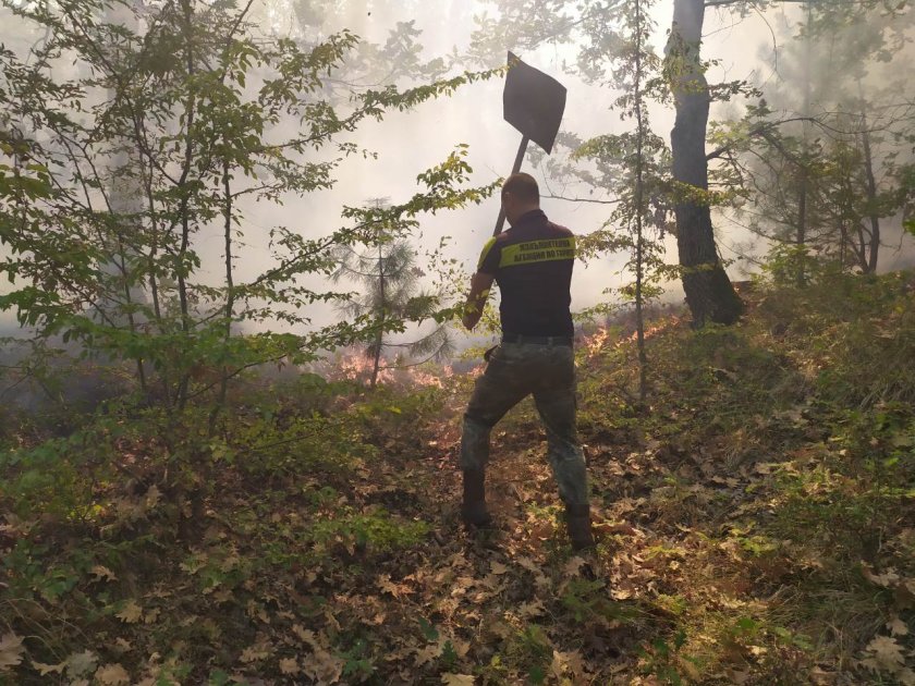 Пожарът край първомайското село Искра е потушен