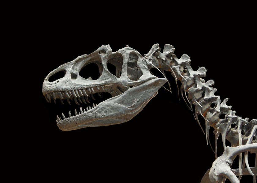 пресъздадоха изцяло динозавър 162 години откриването