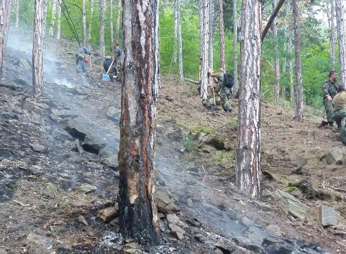Пожарът край Карлово е локализиран