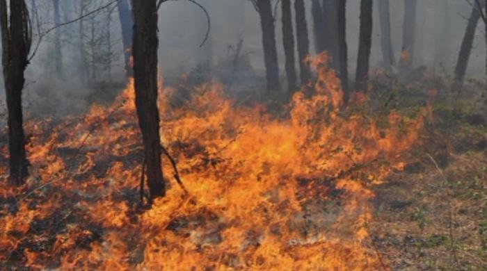 Рискът от пожари остава висок за страната и днес