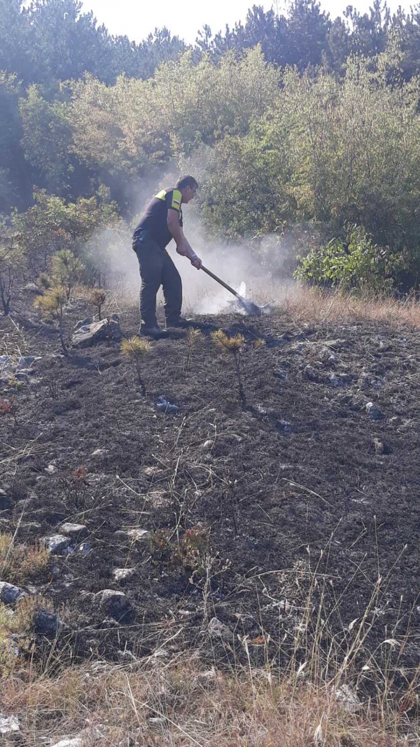 Пожарът край хисарското село Михилци е овладян