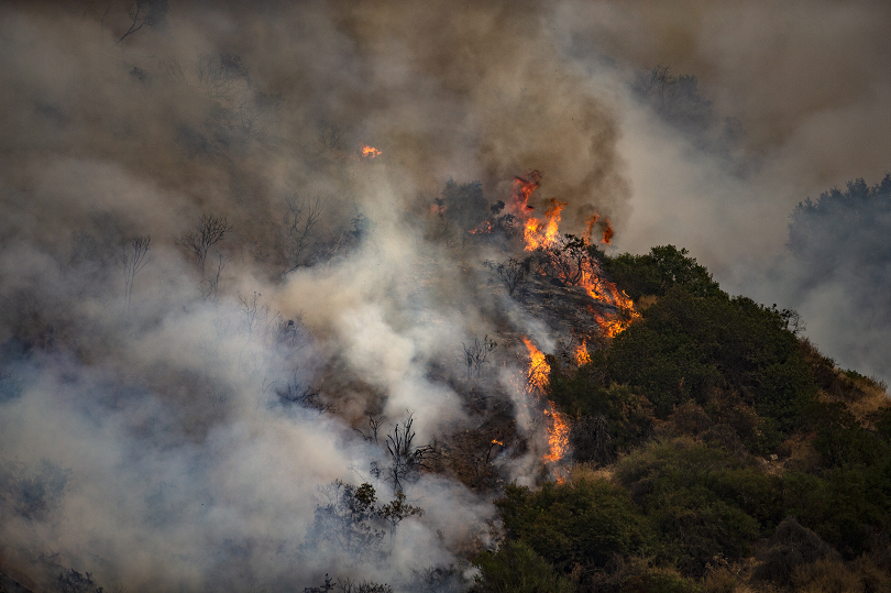 Аномалии на времето в САЩ - бури на Източния бряг, пожари на запад