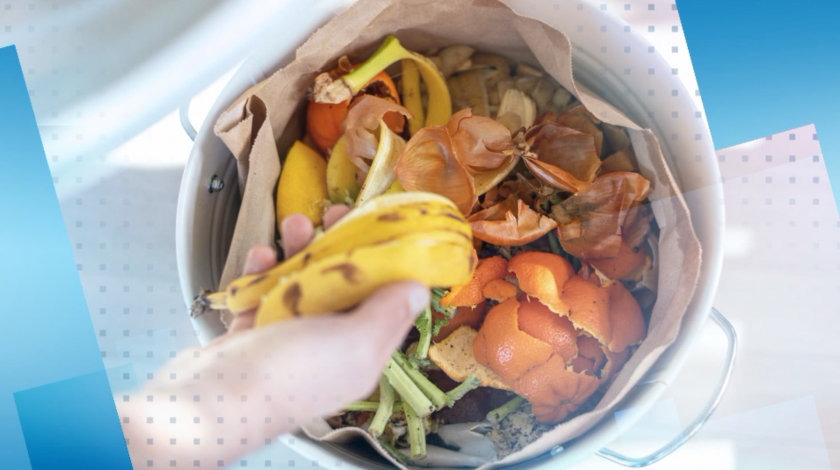 Храната, която домакинствата изхвърлят всеки ден, може да храни 3 милиарда души