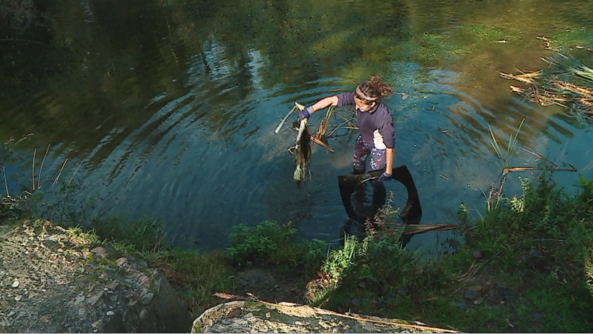 Доброволци почистиха и зарибиха река Въча