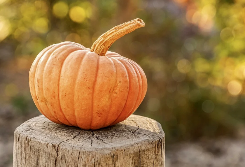 В навечерието на Вси Светии: Ще стигнат ли тиквите?