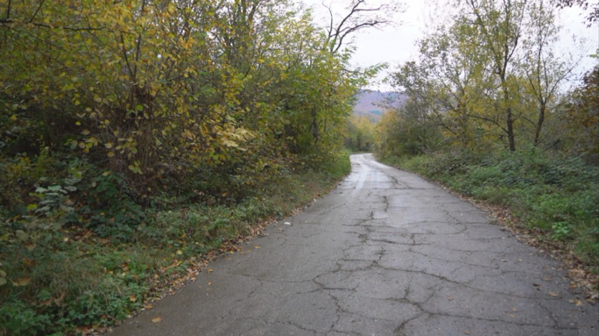 След намесата на БНТ: Черешовица ще има вода за пиене и ремонтиран път