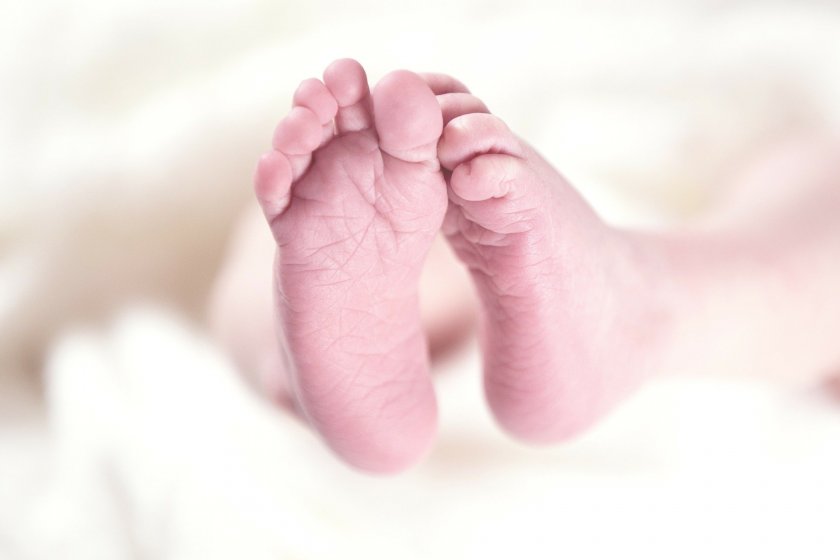 около 6000 недоносени бебета раждат нас всяка година