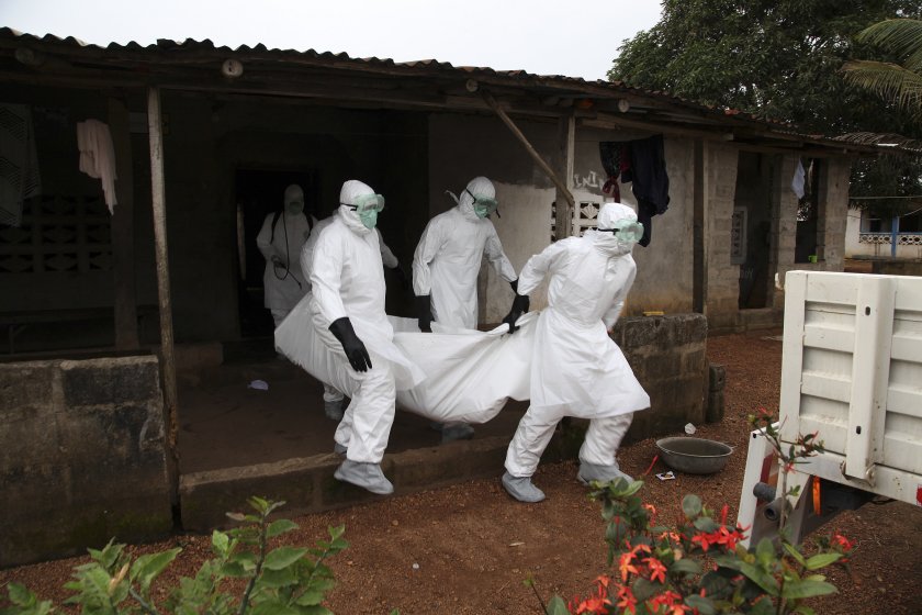 епидемия ебола гвинея
