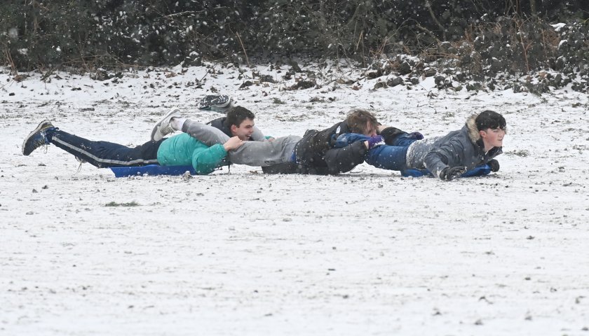 студ скова великобритания снегът изведе навън хор животни снимки