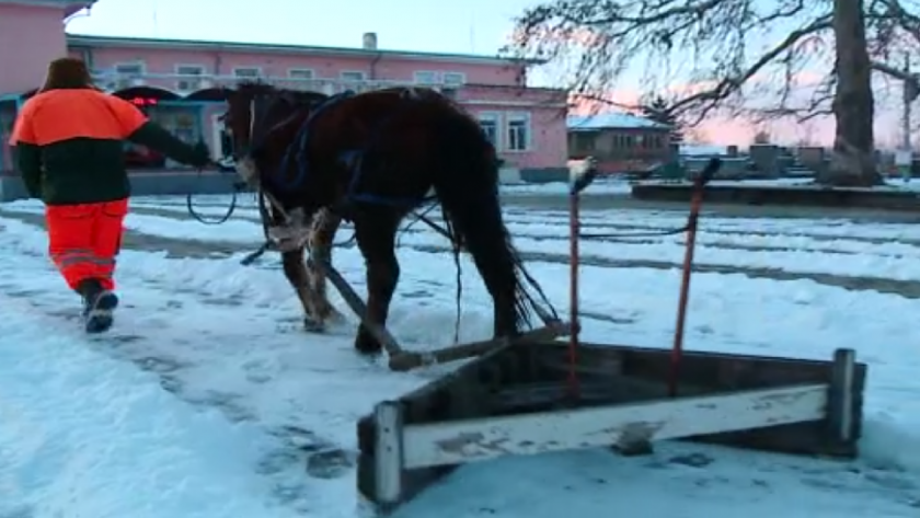 Кон замести снегорин: За час и половина Веска изчиства тротоарите в Момино село