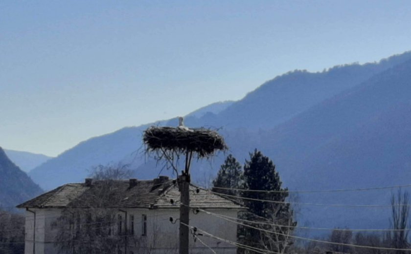 В село Полето посрещнаха първия щъркел