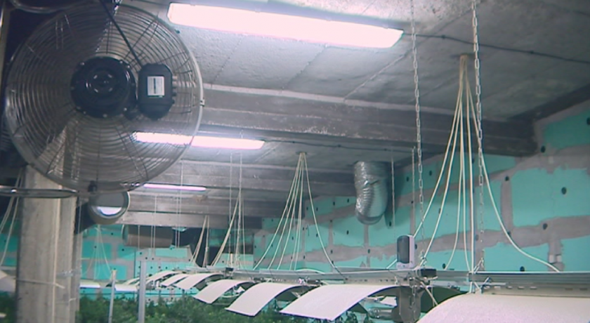 Разбиха модерна нарколаборатория в село Румянцево