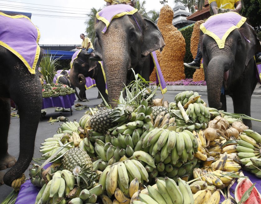В Тайланд отбелязаха с богати угощения за слонове днешния ден,