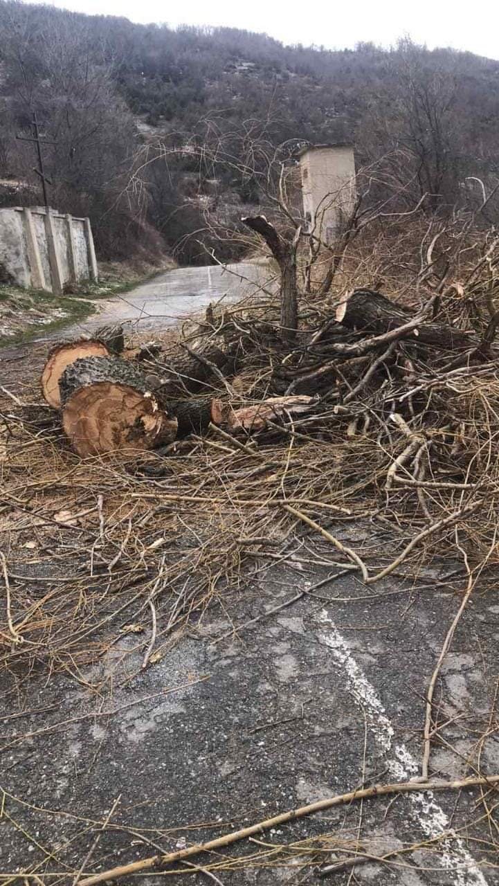 бурният вятър събори дървета блокира движението асеновградското село орешец