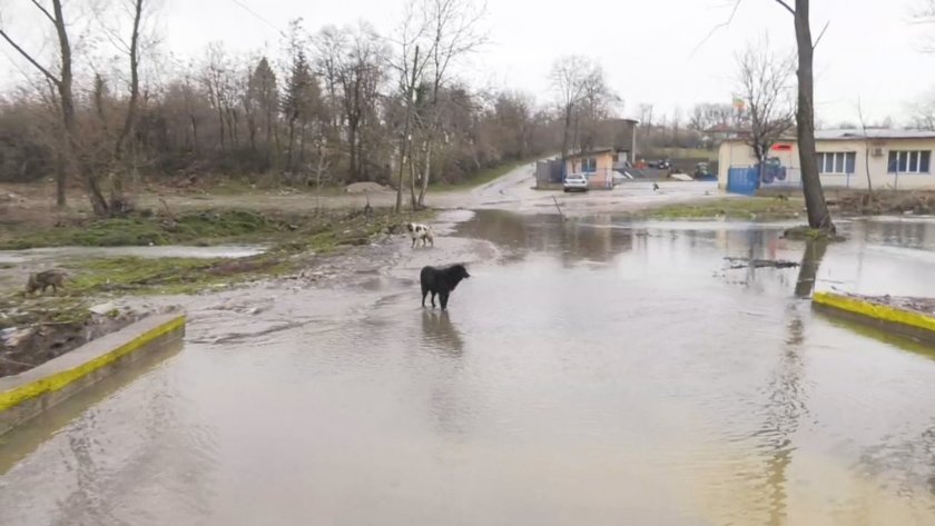Силен вятър в Северозападна България. Поривите на места достигнаха до