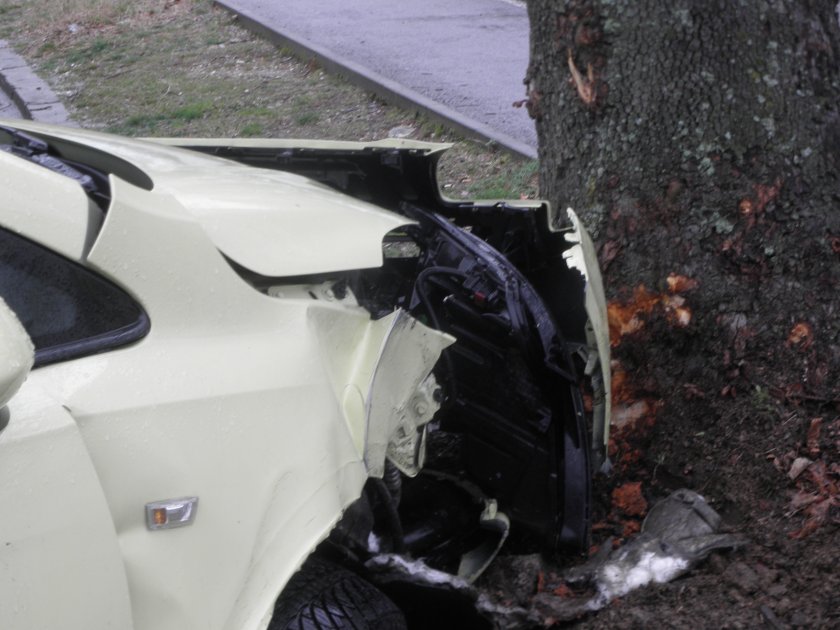 кола заби дърво годишна жена болница снимки
