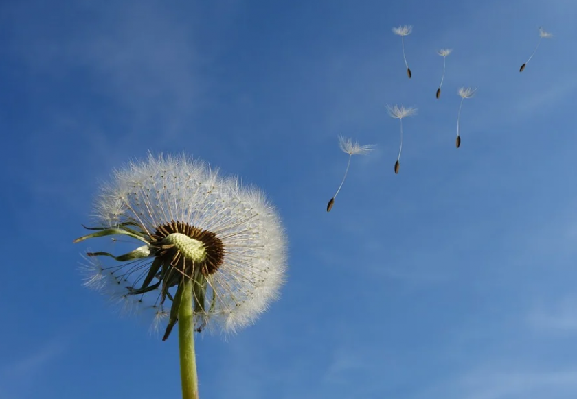 Съвсем към своя край, март ни показа, че може да