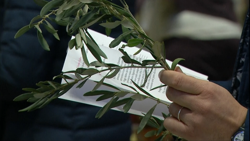 Католиците в Раковски отбелязаха Палмова неделя при спазване на мерките