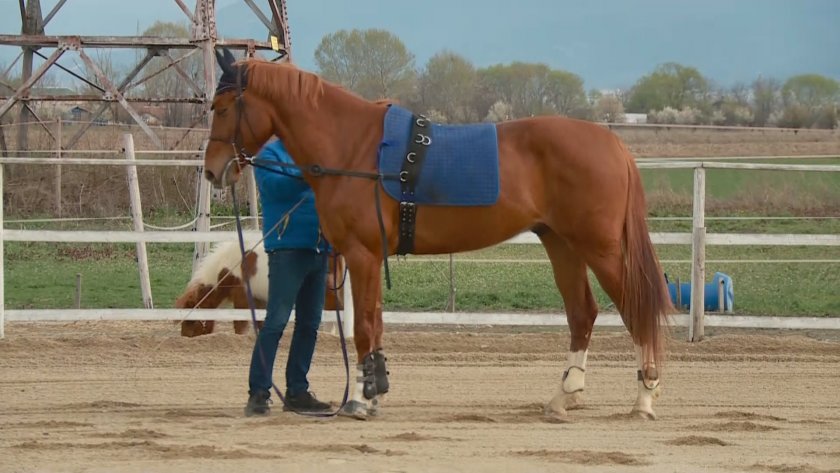 Връзката между тандема състезатели е от особено важност в конният