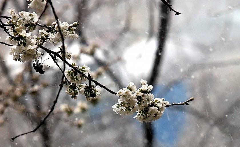 Опасно силни ветрове в почти цялата страна