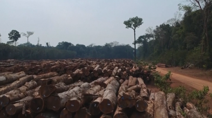 президентът бразилия поиска финансова помощ сащ прекрати незаконното обезлесяване
