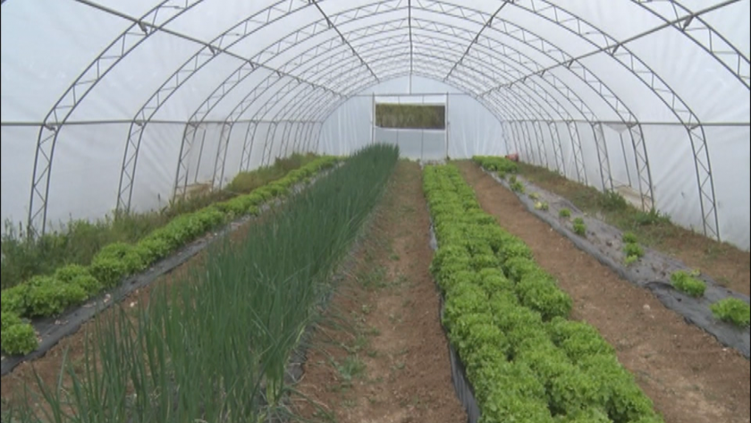 Храненето на децата е тема, която вълнува обществото. Защото, за