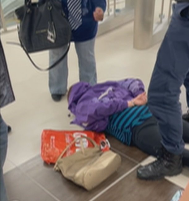 Възрастната жена, която вчера беше арестувана на метростанция Овча купел