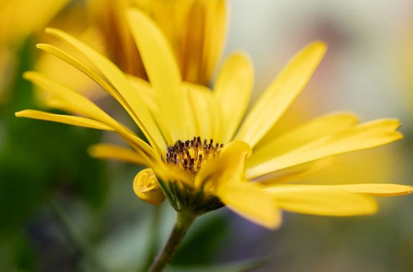 Предимно слънчево ще остане времето в по-голямата част отстраната в