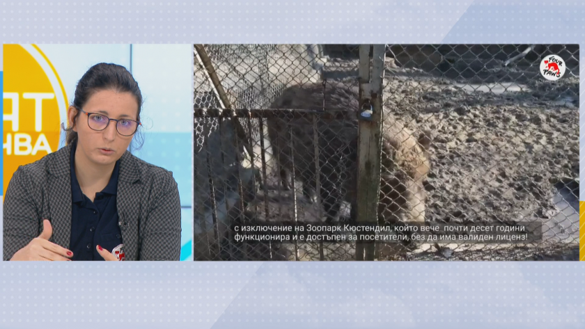 Фондация "Четири лапи": Лошите условия в зоопарковете не се променят, въпреки сигналите