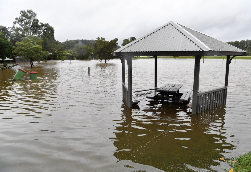 обявиха извънредно положение нова зеландия заради наводнения